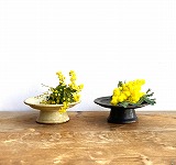 新井尋詞　コンポート